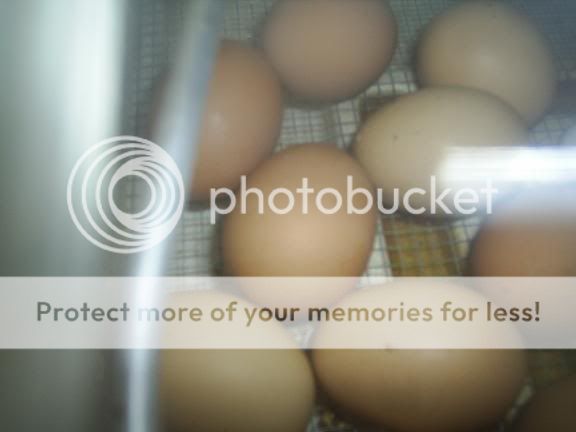 eggs1.jpg