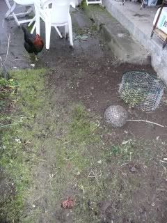 Pennyballbefore.jpg