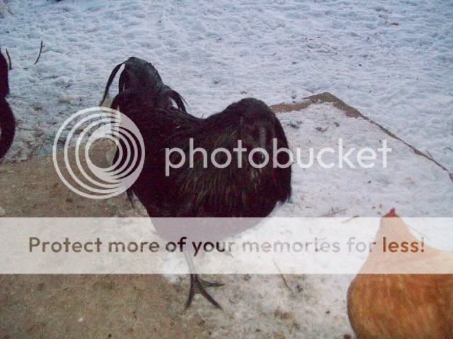 100_2596.jpg