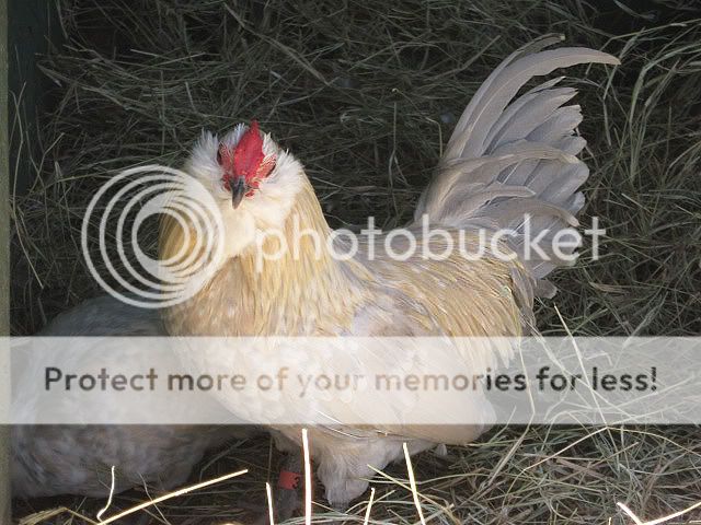 IMG_1714.jpg