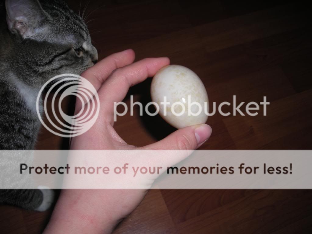 DSCN7200.jpg