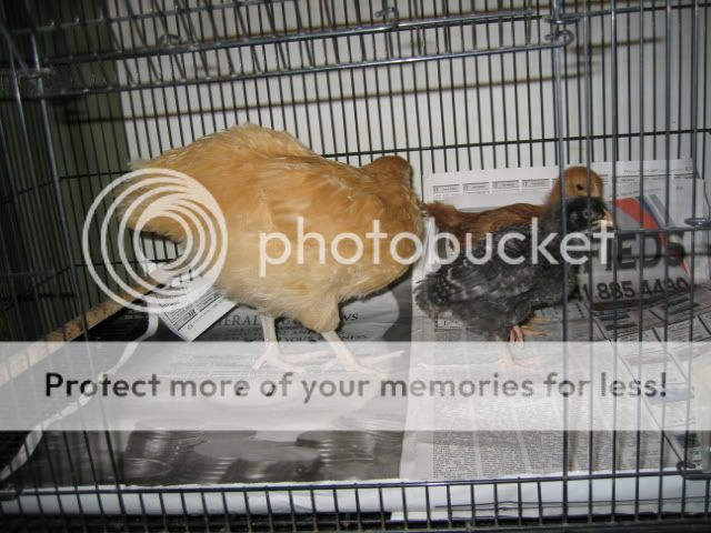 IMG_1322.jpg