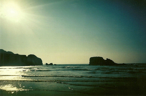 tumblr_lztv8jUmtz1rpcxcao1_500.jpg