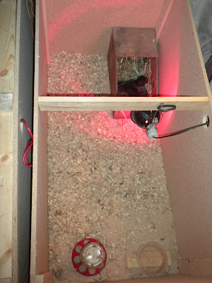 DSCN2128.JPG