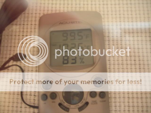 DSCN1849.jpg