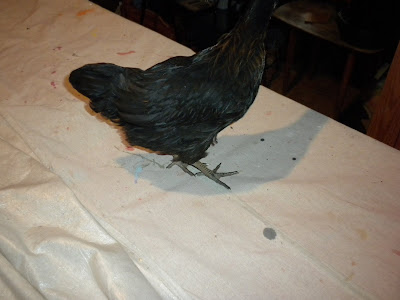 DSCN2071.JPG