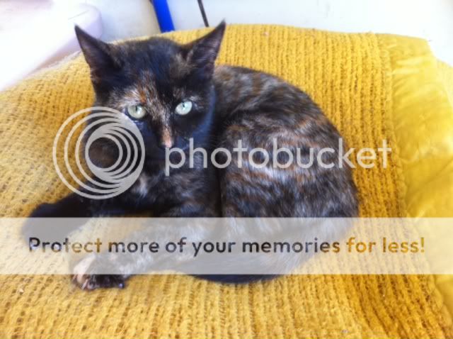 photo-44.jpg