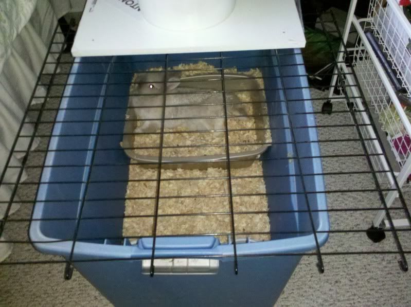 2011-07-03_14-05-12_770.jpg