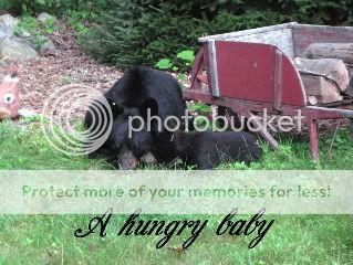 ahungrybaby-2.jpg