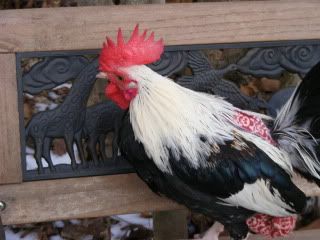 DSCF3002-1.jpg