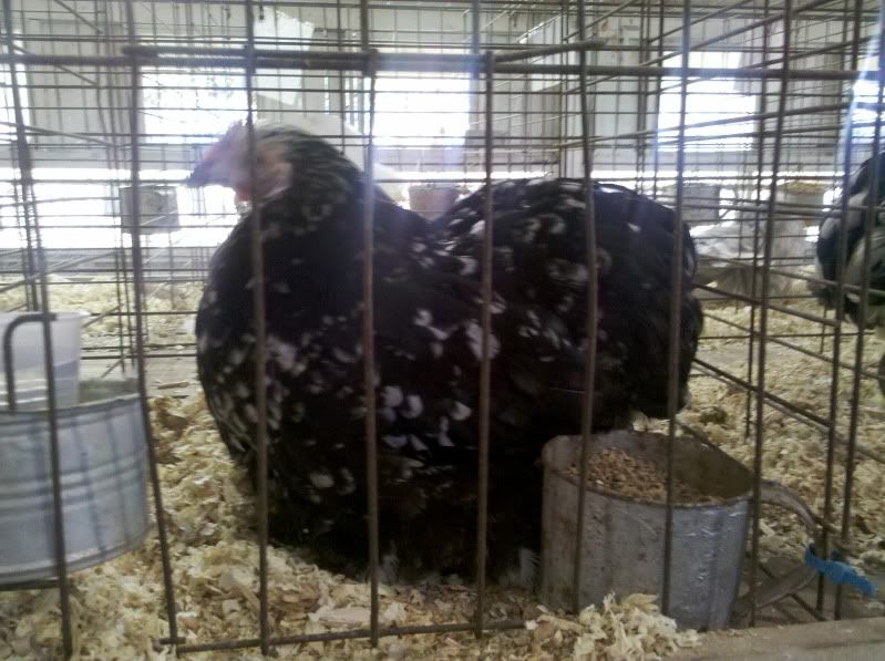 2011-09-11_12-40-40_511.jpg