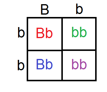 punnet+sq+7.png