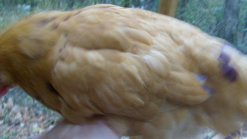 S6304456.JPG