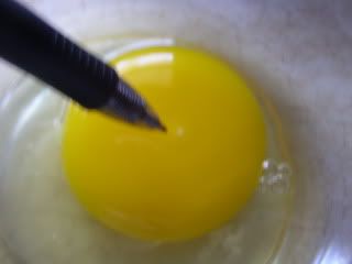 P1010024-1.jpg