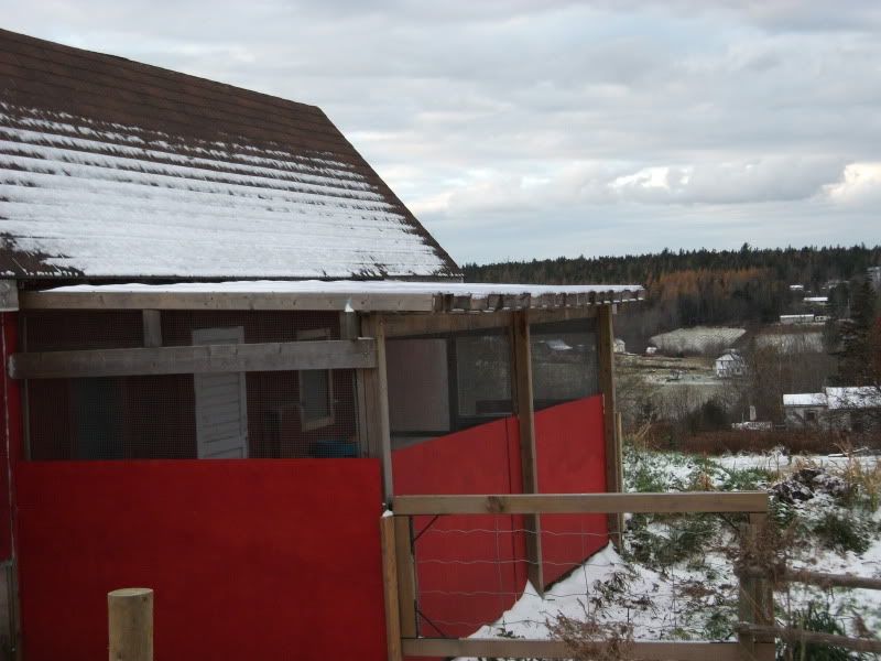 FirstSnowNov62009.jpg