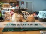 PictureCmaera287.jpg