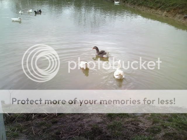 Picture147.jpg