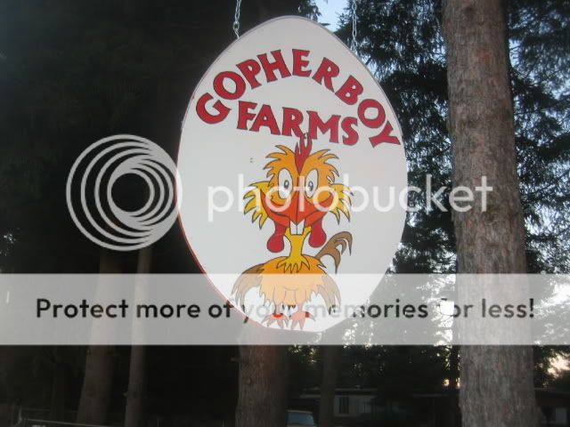 100_0005-2.jpg