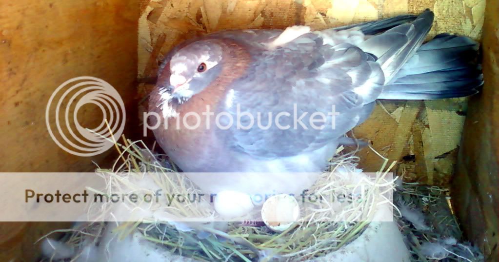Photo0111.jpg