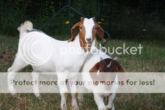 newestphotos103.jpg