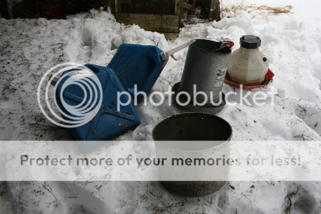 IMG_8750.jpg