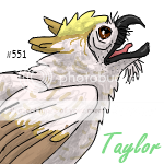 Owl_Taylor1.png