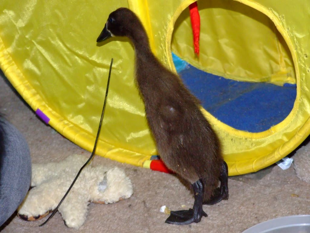 DSCF7164.jpg