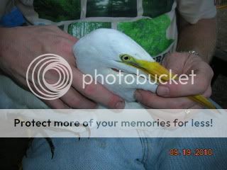 DSCN3911.jpg