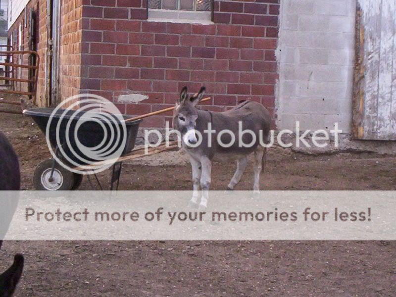 100_5525.jpg