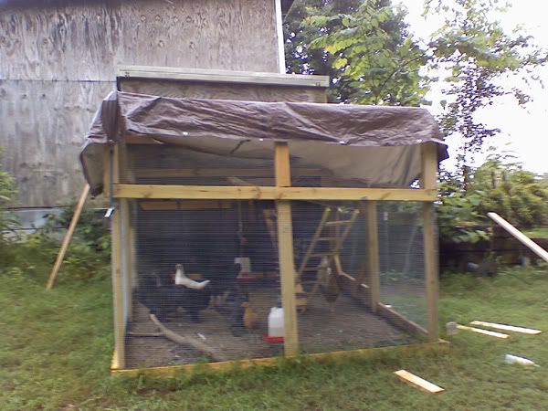 tallchickenpen-1.jpg