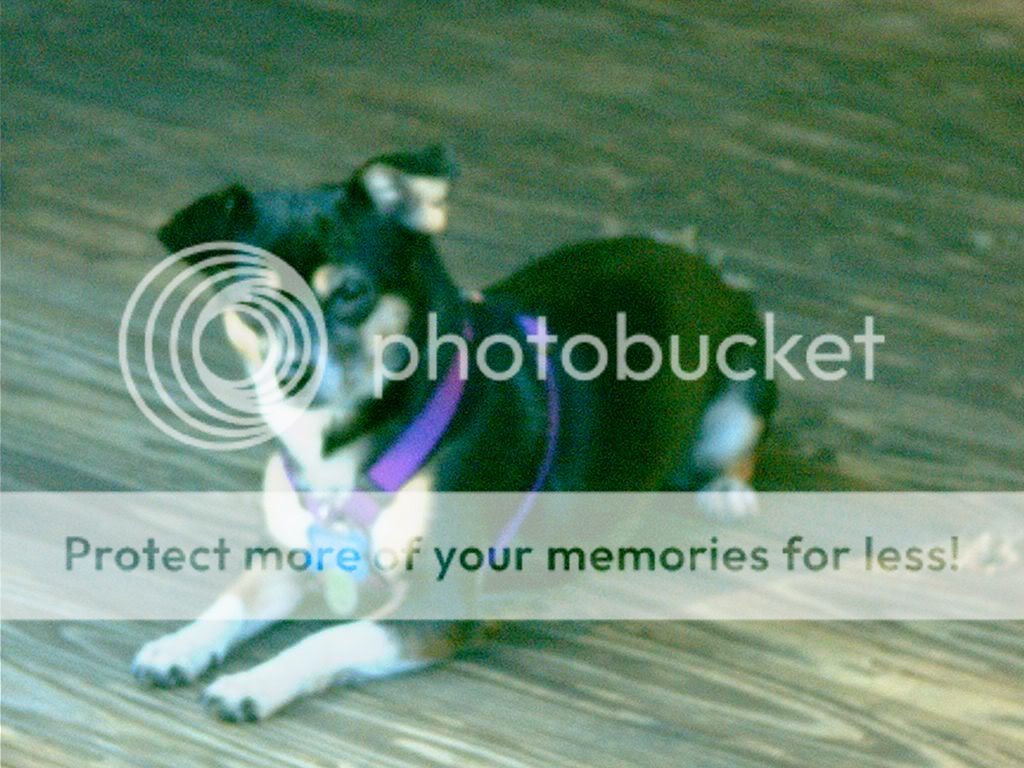 DigitalPics014.jpg