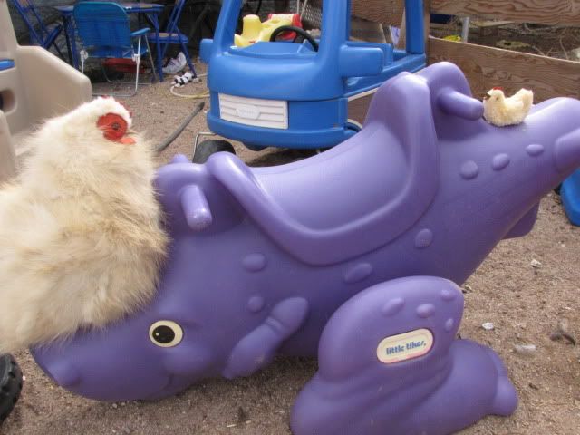 mascotss008.jpg