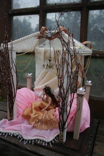 ContestPictures008.jpg