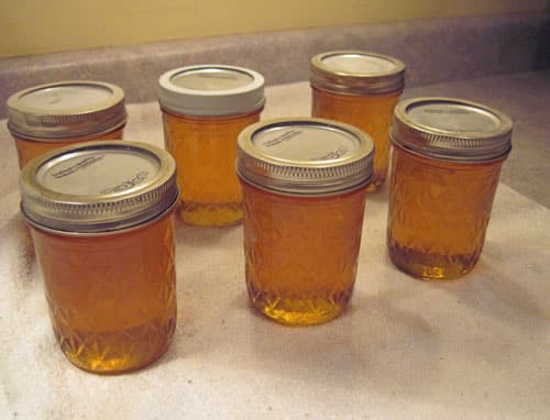 ground-cherry-jelly-04.jpg