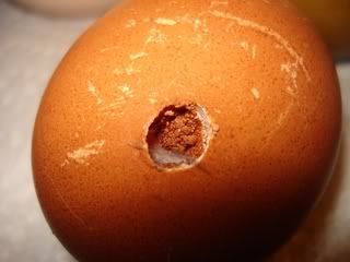 holeyegg2.jpg