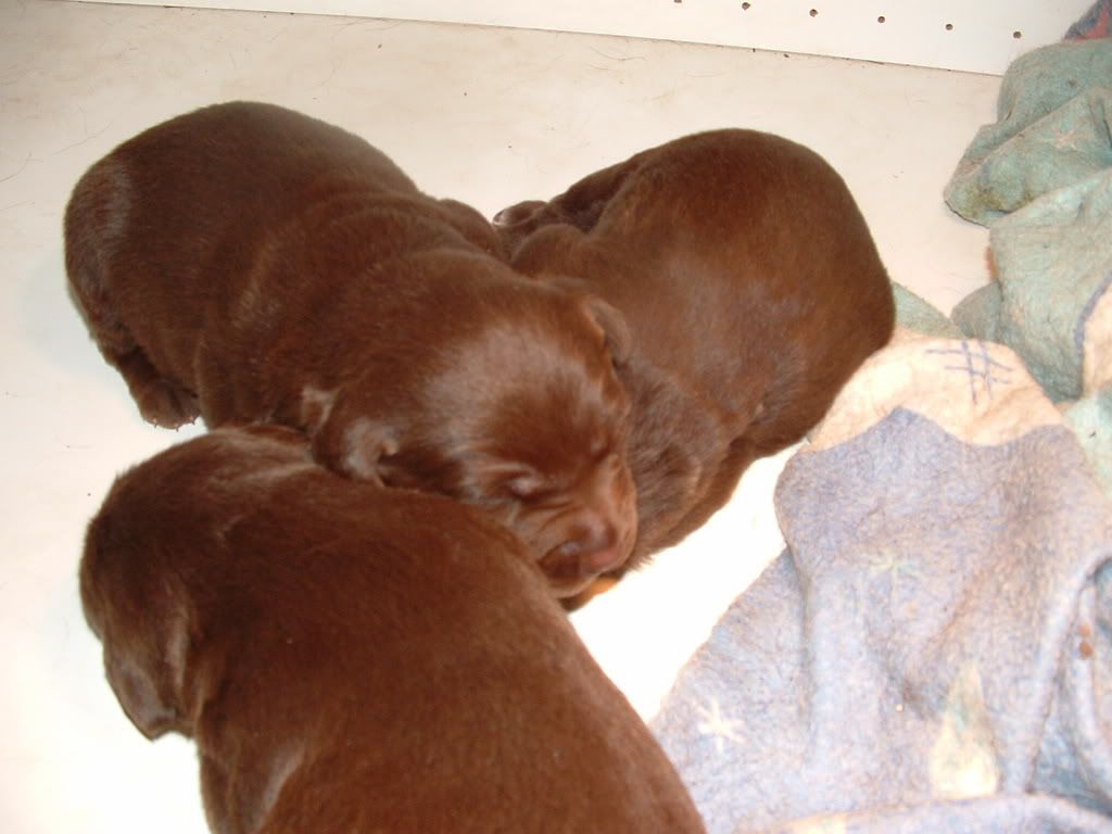 May08007.jpg
