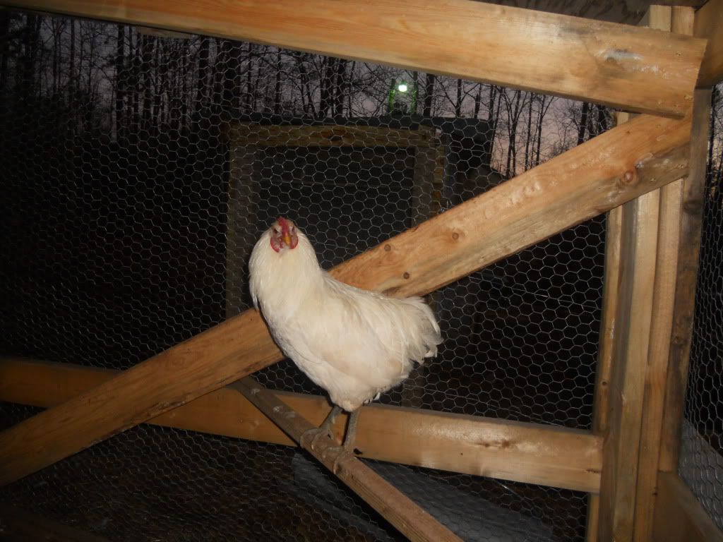 DSCN2723.jpg