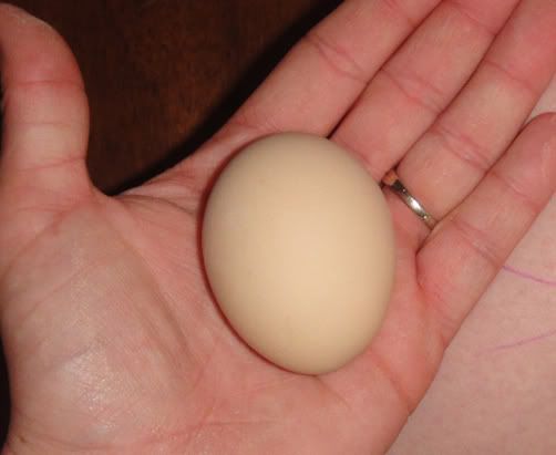 egg9.jpg