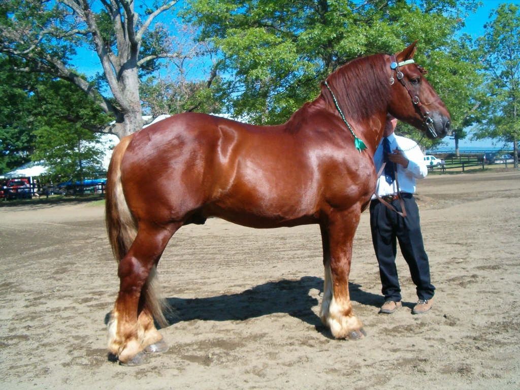 4135050_orig.jpg