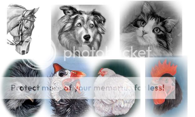 samples2.jpg