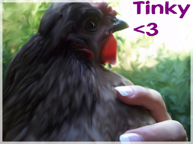 chicken_forever.jpg