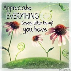 2f97aead9b7b5a5cb0fbc1e72afe9dbd.jpg