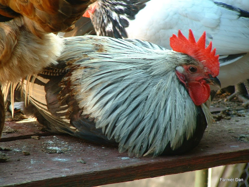 DSCF0075.JPG