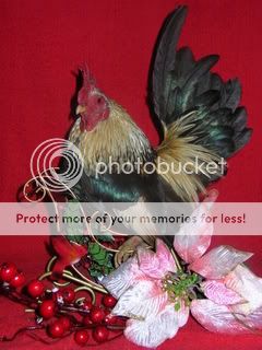 christmaschicks034.jpg