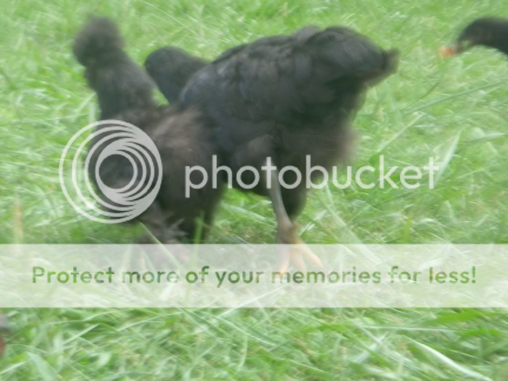 DSCN3777.jpg