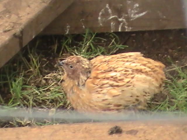 PIC_0628.jpg