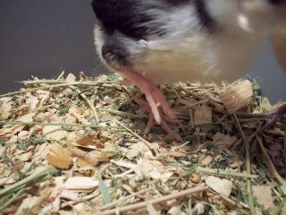 100_1658.jpg