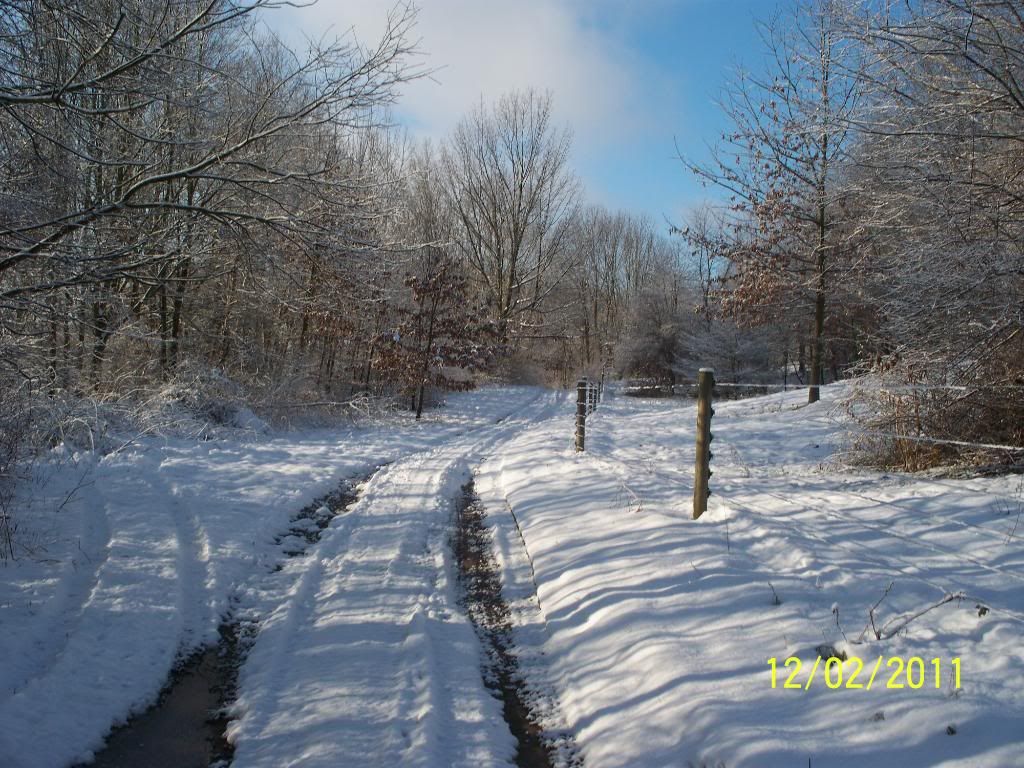 dec1041.jpg