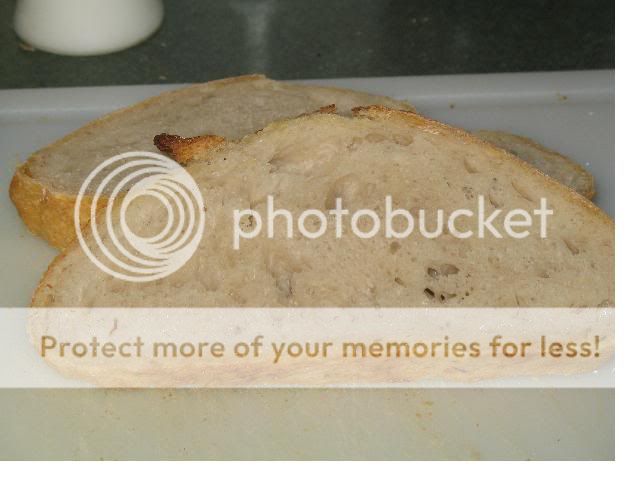 5MinuteBread007.jpg