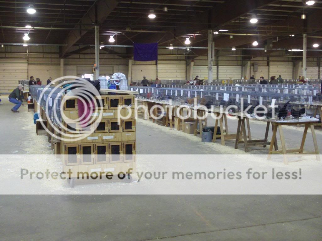 Zi62359.jpg